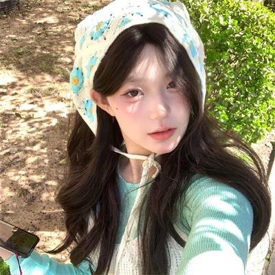 假元首秘纪